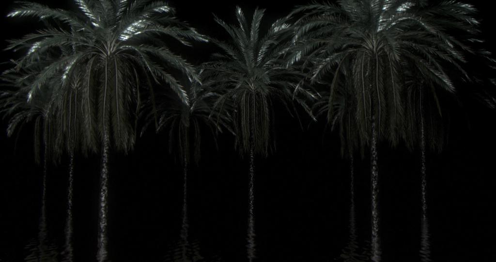 The Event Horizon The Event Horizon