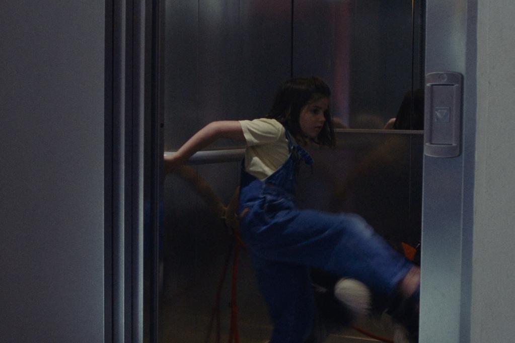 Assis, pas bouger ! Assis, pas bouger !