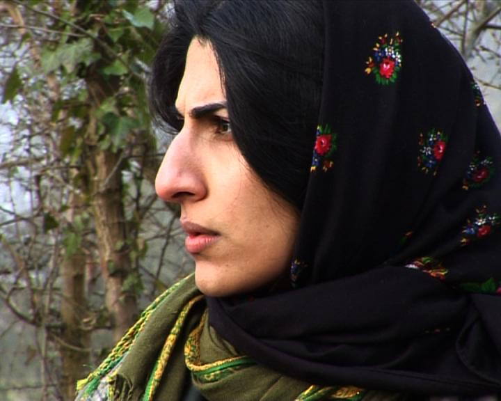 Pauline Coste Pauline Coste