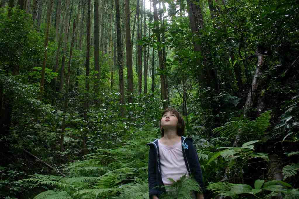 Festival de Cine de Taipei Golden Horse - 2017 Festival de Cine de Taipei Golden Horse - 2017