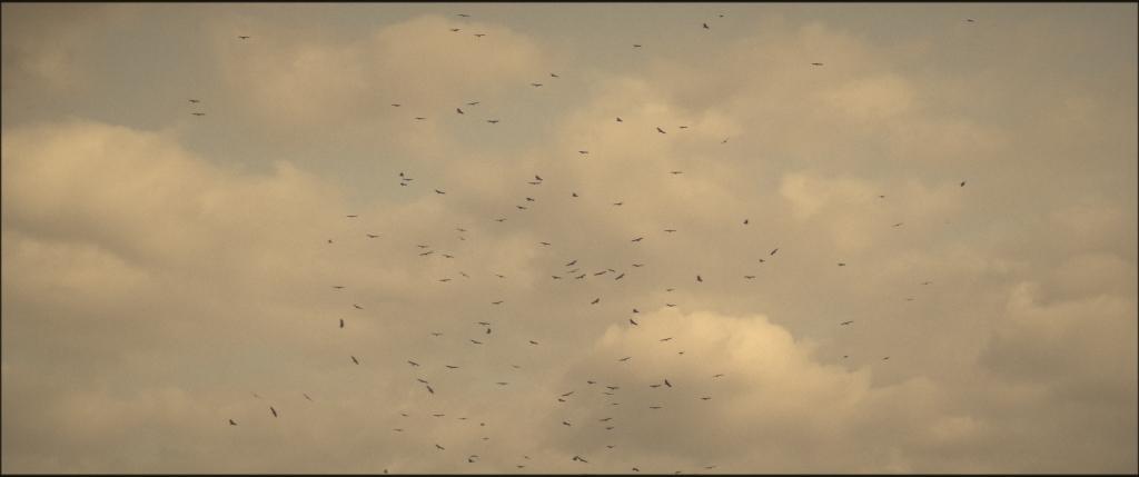 Équarisseurs Équarisseurs