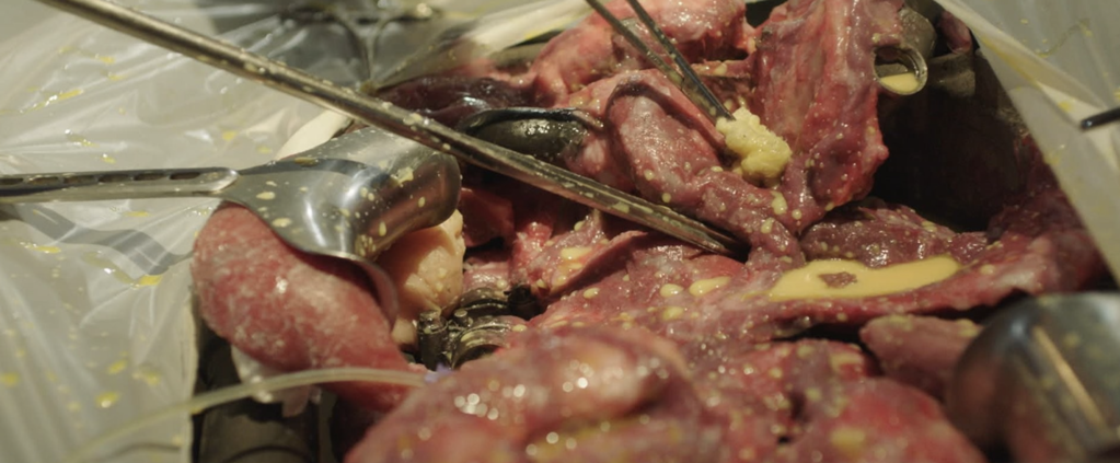 Mael Le Mée Mael Le Mée