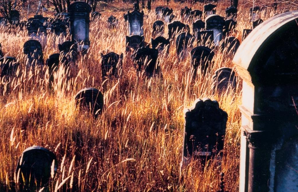 Autumn in Poland Autumn in Poland