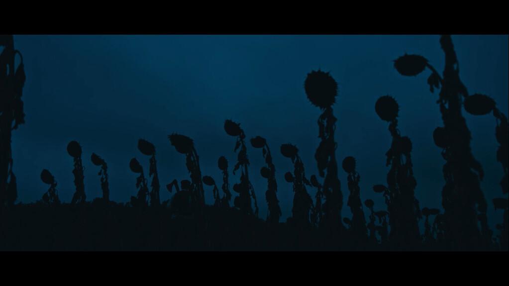 Salamandre Salamandre