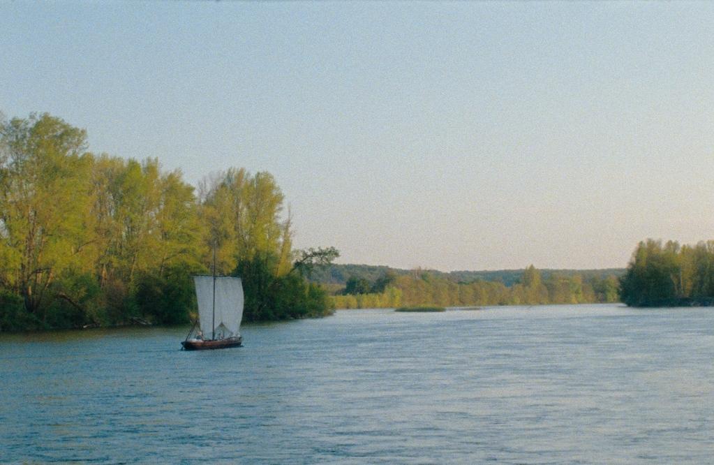 La Nef des fous La Nef des fous