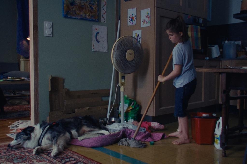 Assis, pas bouger ! Assis, pas bouger !