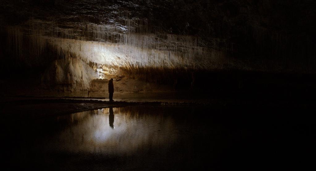 Wolf Whispers Wolf Whispers