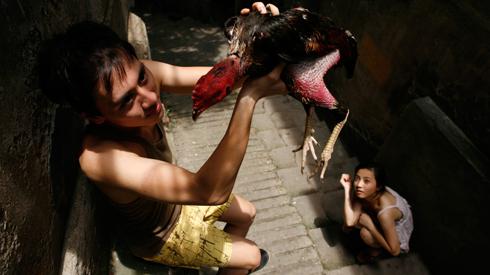 Semaine de la Critique - Venise - 2014