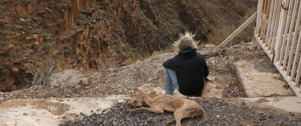 Ralf's Colors Ralf's Colors