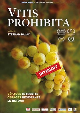 Vitis Prohibita Vitis Prohibita