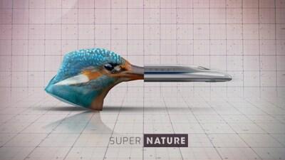 Supernature Supernature