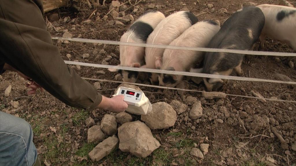 Bretagne radieuse Bretagne radieuse