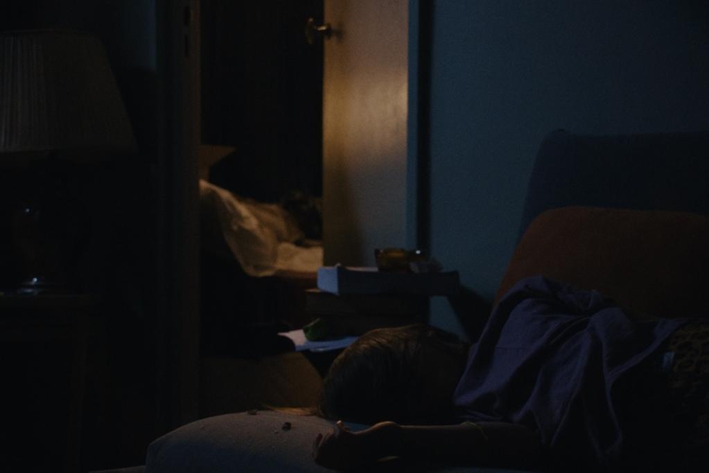 Sit and stay! Sit and stay!