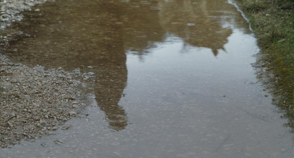 Wolf Whispers Wolf Whispers