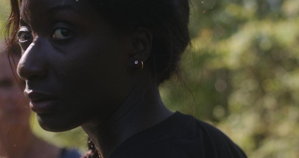 The Little Sentences The Little Sentences