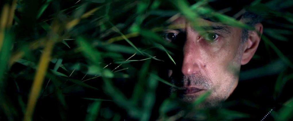 Transilvania International Film Festival - 2015