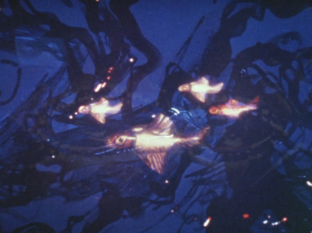 The Fantastic Journey of a Special Mouse The Fantastic Journey of a Special Mouse