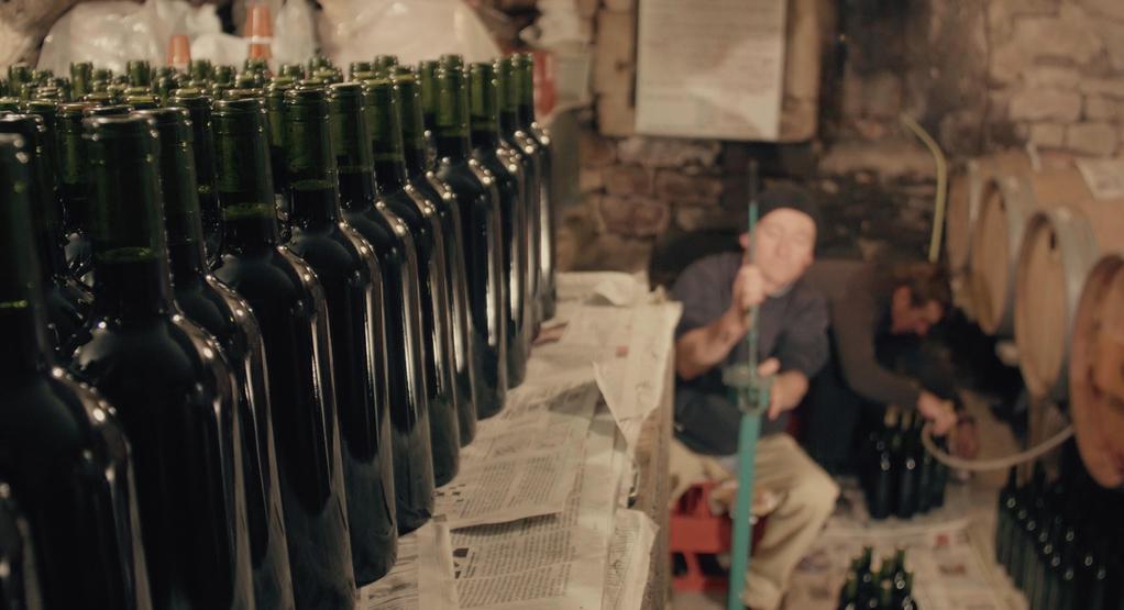 Vitis Prohibita - © Lumière du jour Vitis Prohibita - © Lumière du jour