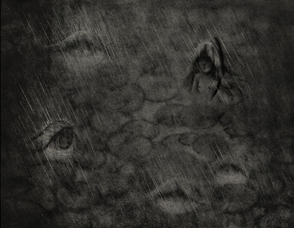 The Purple Season The Purple Season