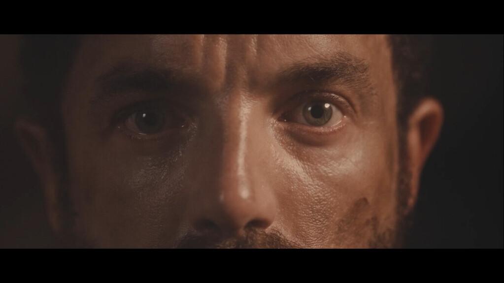 Salamandre Salamandre