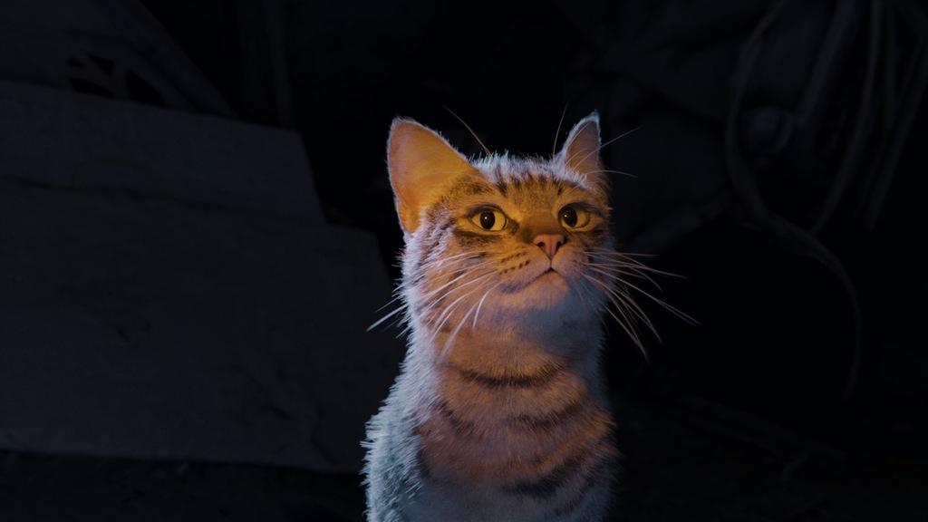 Les animaux vont mieux Les animaux vont mieux