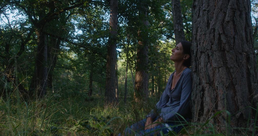 The Little Sentences The Little Sentences