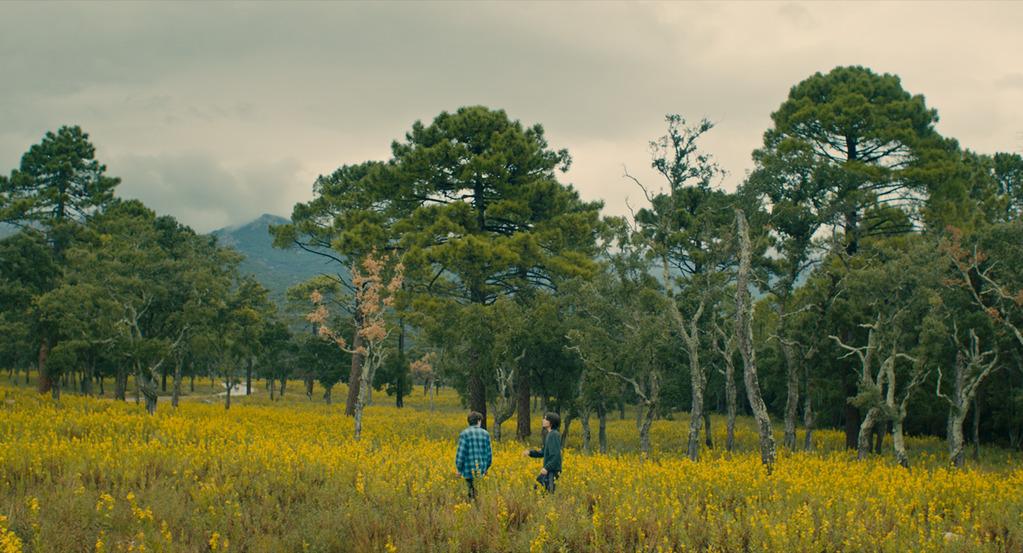 Fugueur - © Trois Brigands Productions Fugueur - © Trois Brigands Productions