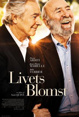 Family Matters - Danois Family Matters - Danois