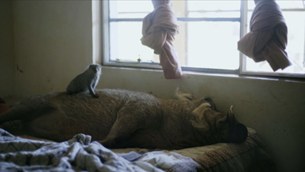 La Lune des braconniers La Lune des braconniers