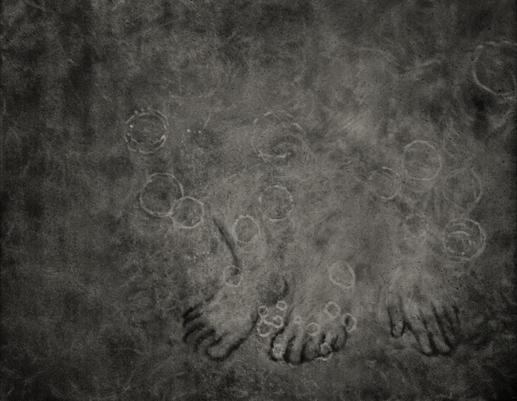 The Purple Season The Purple Season