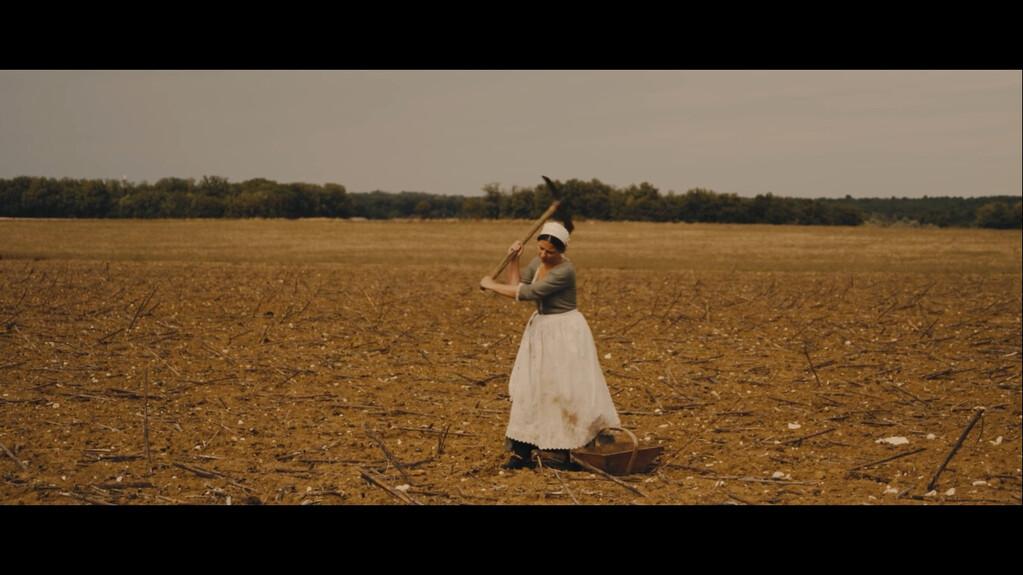 Salamandre Salamandre