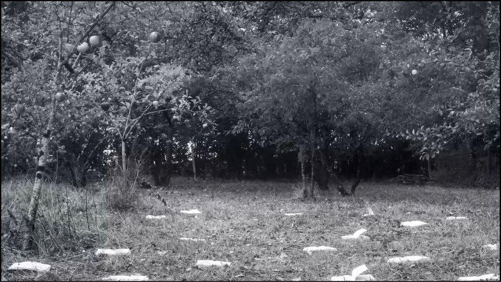 Crotch Stories Crotch Stories