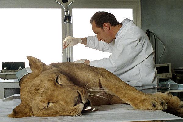 Palm Springs International Film Festival - 2006