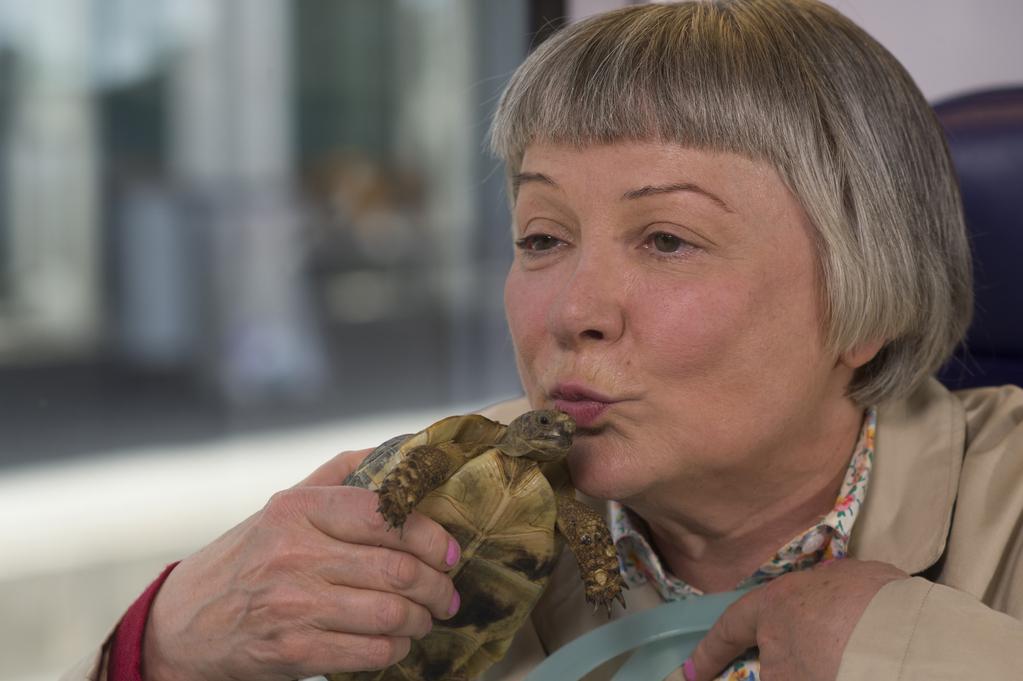 Demi-sœur Demi-sœur