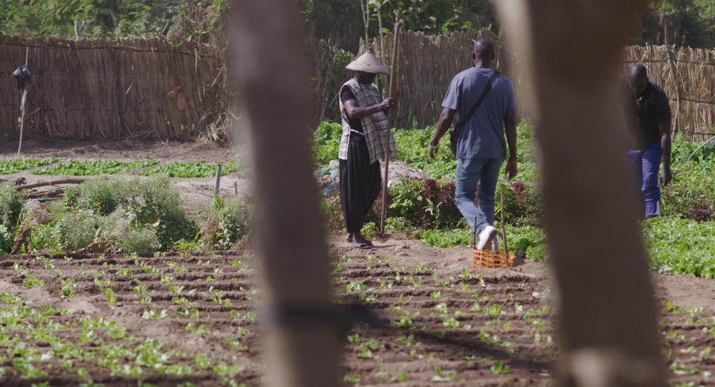 Lado lé (La Dette) Lado lé (La Dette)