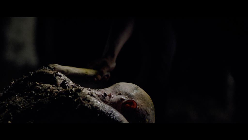 Les Curiosités du mal Les Curiosités du mal