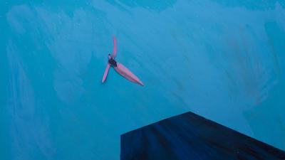 The Diver The Diver