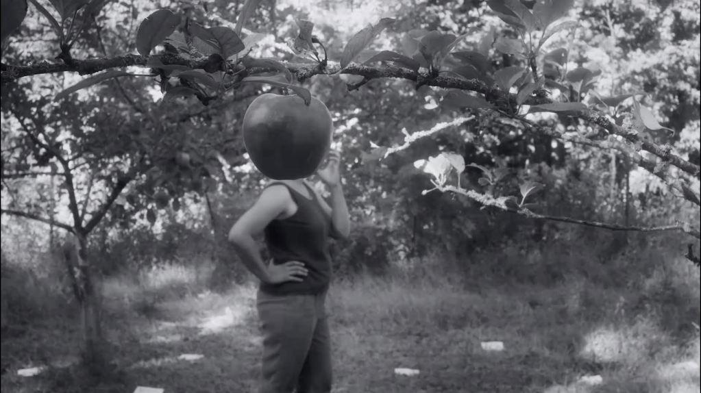 Crotch Stories Crotch Stories