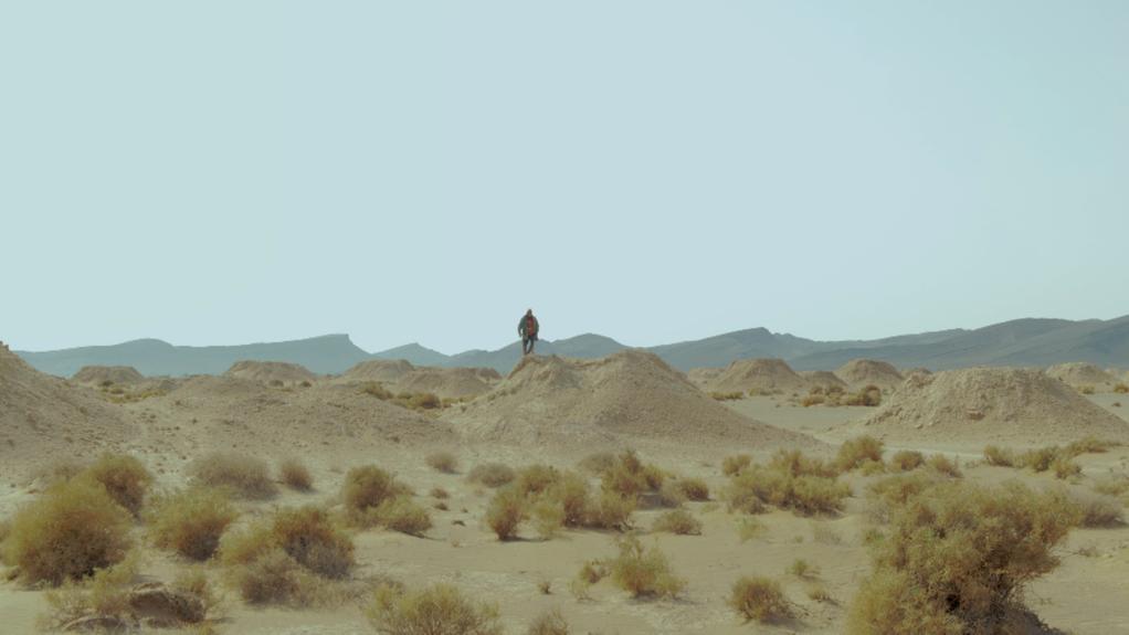 The Fissured Tower The Fissured Tower