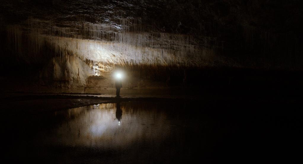 Wolf Whispers Wolf Whispers