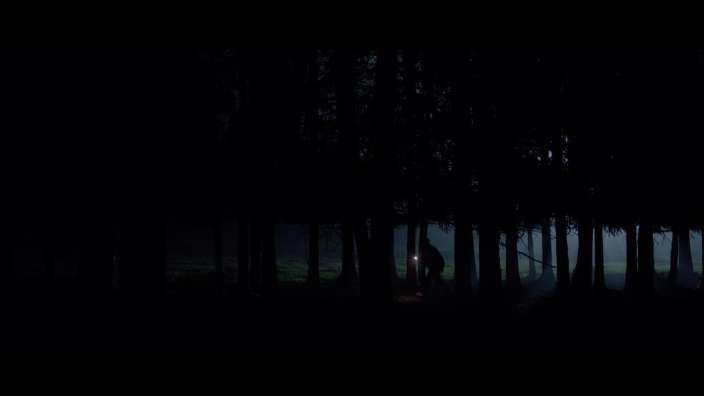 The Hunt of the Unicorn The Hunt of the Unicorn