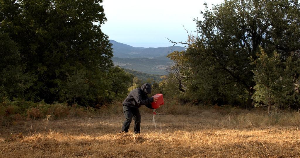 Il faut regarder le feu ou brûler dedans Il faut regarder le feu ou brûler dedans