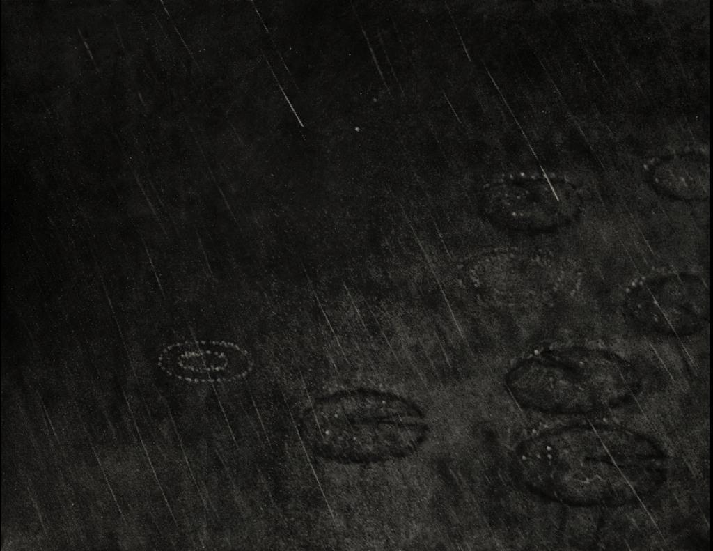 The Purple Season The Purple Season