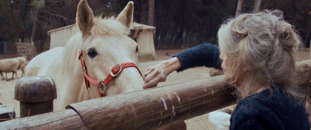 Naëlle Samri Naëlle Samri