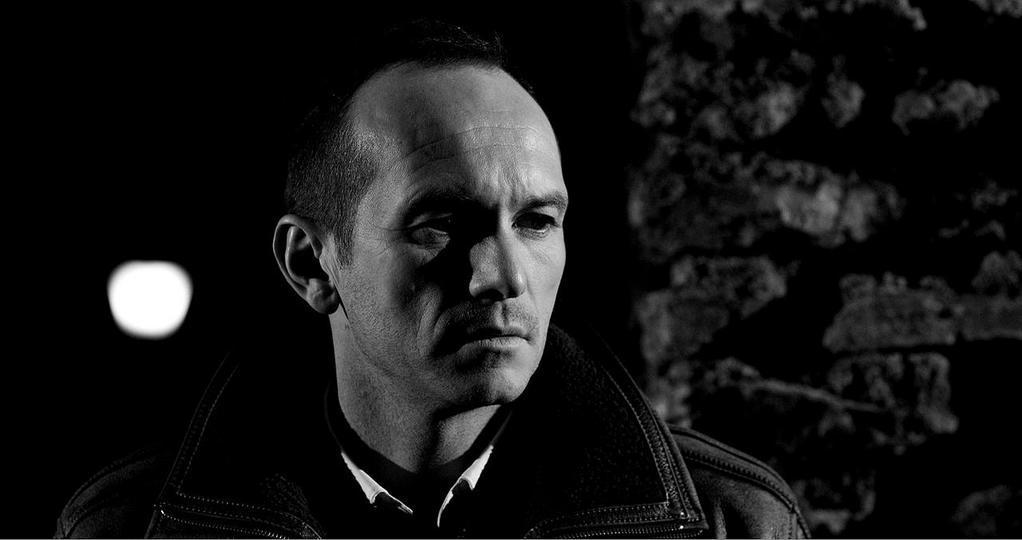 Hello Birds Hello Birds