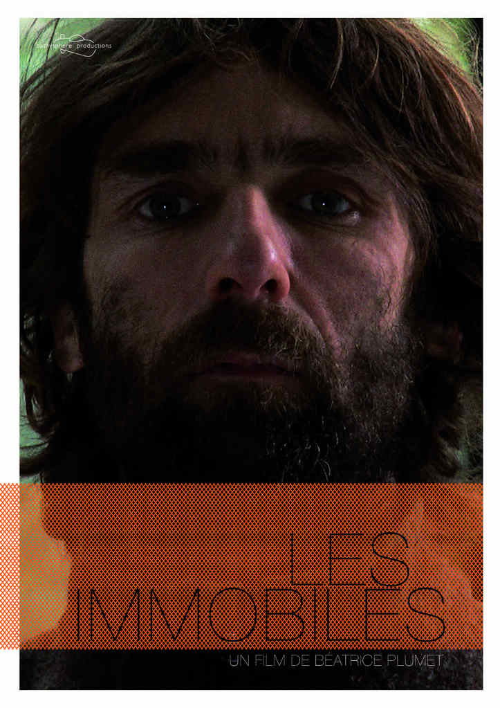 Les Immobiles Les Immobiles