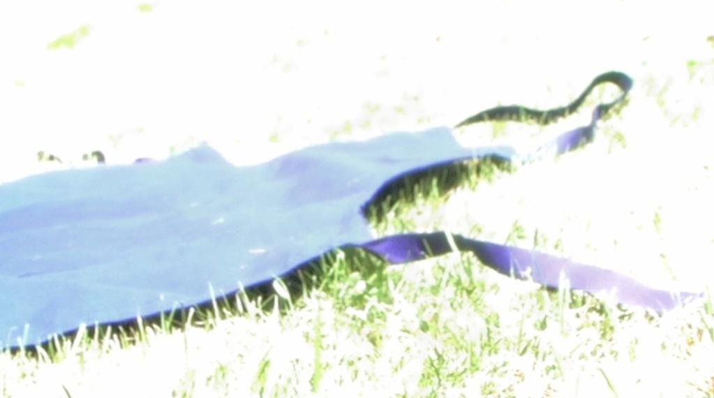 Le Tablier bleu Le Tablier bleu