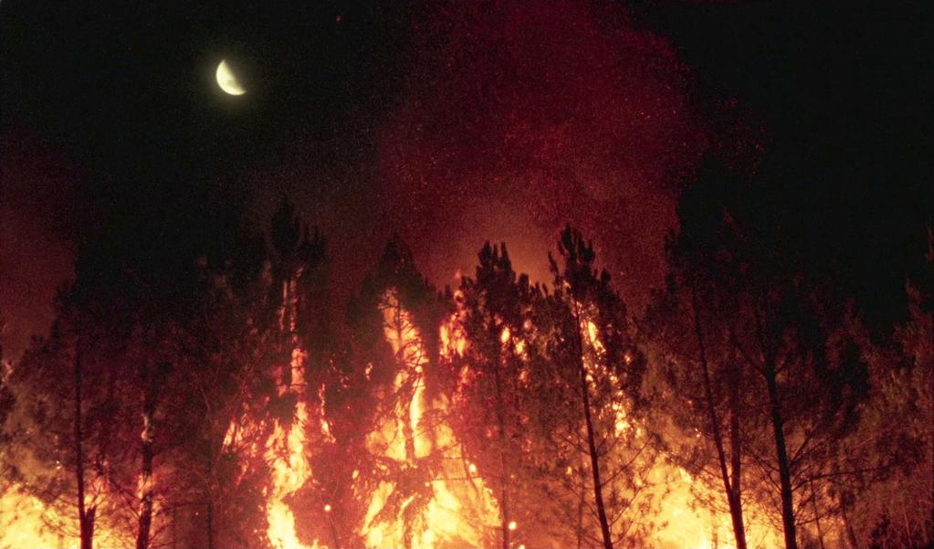 Film Fest Gent - 2019