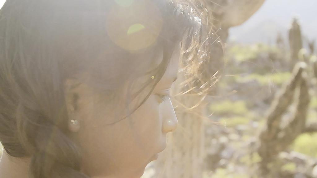 Catalina and the Sun Catalina and the Sun