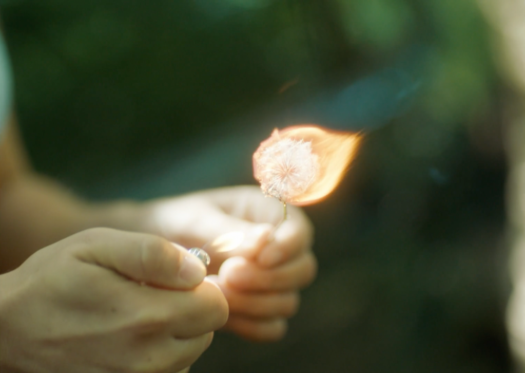 The Marchionesses The Marchionesses